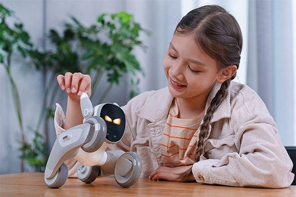 loona robot